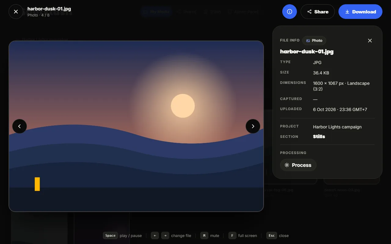 The viewer showing a landscape image, with Share and Download buttons and arrows to the previous and next file